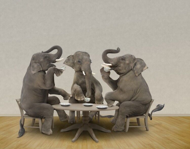 There Is No Republican Establishment via @commentarymagazine