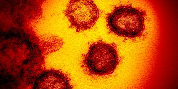 The Coronavirus in Perfect Hindsight via @commentarymagazine