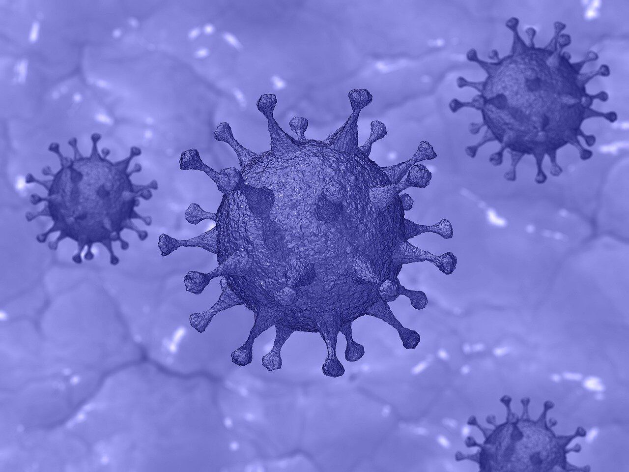 The Virus and the Chicken Little Culture via @commentarymagazine